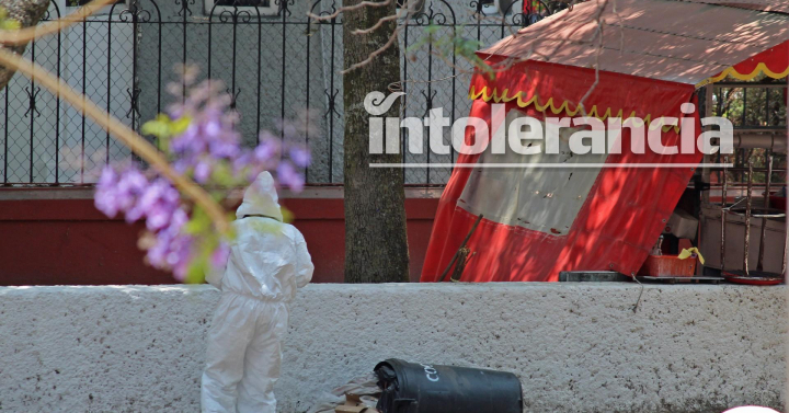 Hallan Restos Humanos En Bolsas De Basura En El Parque De Las Ninfas