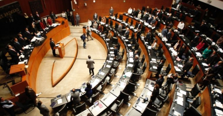 Promueven En El Senado Una Comisión Para Investigar Casos De Pederastia